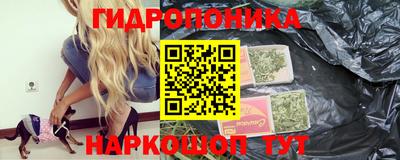 прущие грибы Кинель