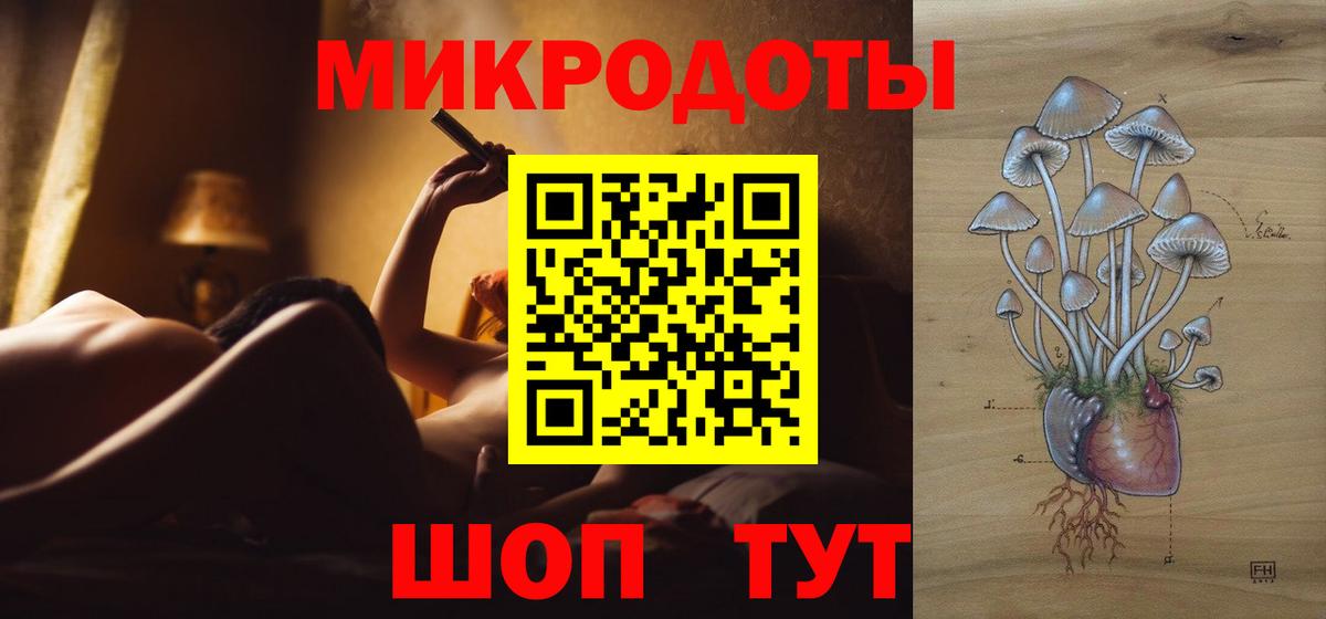 Галлюциногенные грибы Psilocybe Чехов